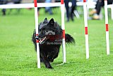 Royal Canin Masters 2025 geldrop
