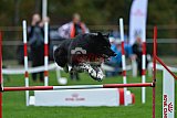 Royal Canin Masters 2025 geldrop