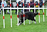 Royal Canin Masters 2025 geldrop