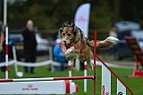 Royal Canin Masters 2025 geldrop