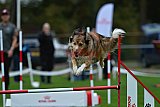 Royal Canin Masters 2025 geldrop