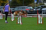 Royal Canin Masters 2025 geldrop