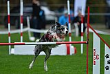Royal Canin Masters 2025 geldrop