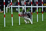 Royal Canin Masters 2025 geldrop