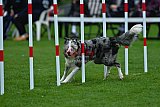 Royal Canin Masters 2025 geldrop