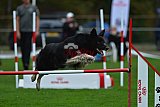 Royal Canin Masters 2025 geldrop
