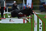 Royal Canin Masters 2025 geldrop