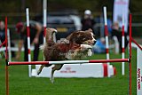 Royal Canin Masters 2025 geldrop
