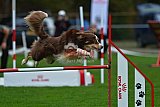 Royal Canin Masters 2025 geldrop