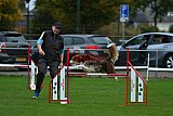Royal Canin Masters 2025 geldrop