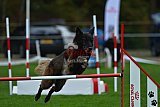 Royal Canin Masters 2025 geldrop