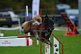 Royal Canin Masters 2025 geldrop