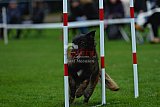 Royal Canin Masters 2025 geldrop