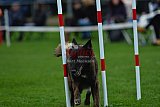Royal Canin Masters 2025 geldrop