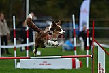 Royal Canin Masters 2025 geldrop