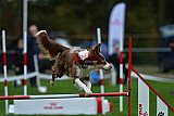 Royal Canin Masters 2025 geldrop