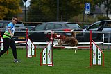 Royal Canin Masters 2025 geldrop