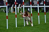 Royal Canin Masters 2025 geldrop