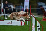 Royal Canin Masters 2025 geldrop