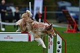 Royal Canin Masters 2025 geldrop