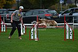 Royal Canin Masters 2025 geldrop