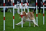 Royal Canin Masters 2025 geldrop