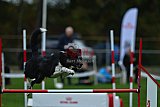 Royal Canin Masters 2025 geldrop