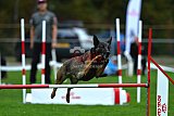 Royal Canin Masters 2025 geldrop