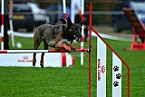 Royal Canin Masters 2025 geldrop