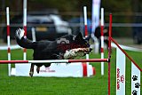 Royal Canin Masters 2025 geldrop