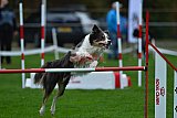 Royal Canin Masters 2025 geldrop