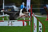 Royal Canin Masters 2025 geldrop