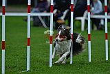 Royal Canin Masters 2025 geldrop