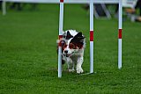 Royal Canin Masters 2025 geldrop