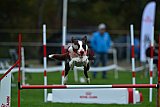 Royal Canin Masters 2025 geldrop