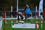 Royal Canin Masters 2025 geldrop