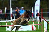 Royal Canin Masters 2025 geldrop