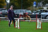 Royal Canin Masters 2025 geldrop