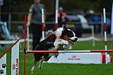 Royal Canin Masters 2025 geldrop