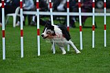 Royal Canin Masters 2025 geldrop