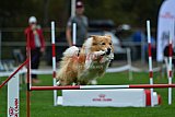 Royal Canin Masters 2025 geldrop