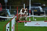 Royal Canin Masters 2025 geldrop