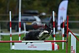 Royal Canin Masters 2025 geldrop