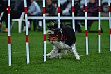Royal Canin Masters 2025 geldrop
