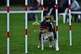Royal Canin Masters 2025 geldrop