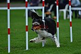 Royal Canin Masters 2025 geldrop