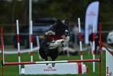 Royal Canin Masters 2025 geldrop