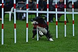 Royal Canin Masters 2025 geldrop