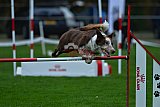 Royal Canin Masters 2025 geldrop