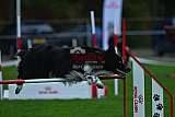 Royal Canin Masters 2025 geldrop